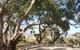 Spring Gully Conservation Park - thumb 0