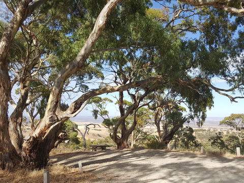Spring Gully Conservation Park - Redcliffe Tourism 0