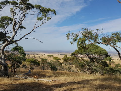 Spring Gully Conservation Park - Redcliffe Tourism 1