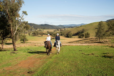 Tamworth And Kootingal Horse Riding Adventures - Redcliffe Tourism 0