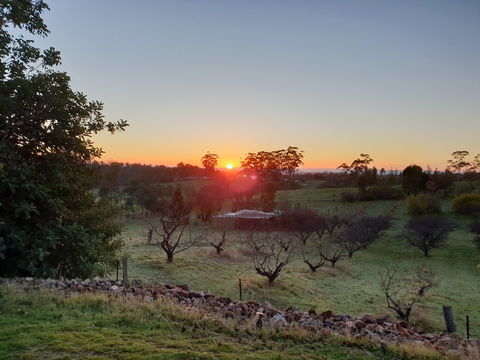 Taralee Orchards - Redcliffe Tourism 1