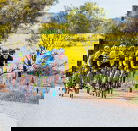 The Heron's Highway - Avon River Cycle Trail - Redcliffe Tourism