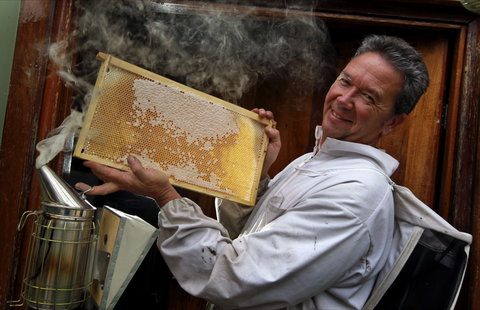 The House Of Honey - Redcliffe Tourism 0