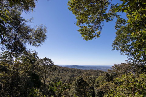 Thylogale Track - Redcliffe Tourism 2