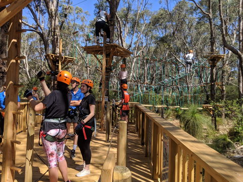 Trees Adventure - Yanchep Park - Redcliffe Tourism 0