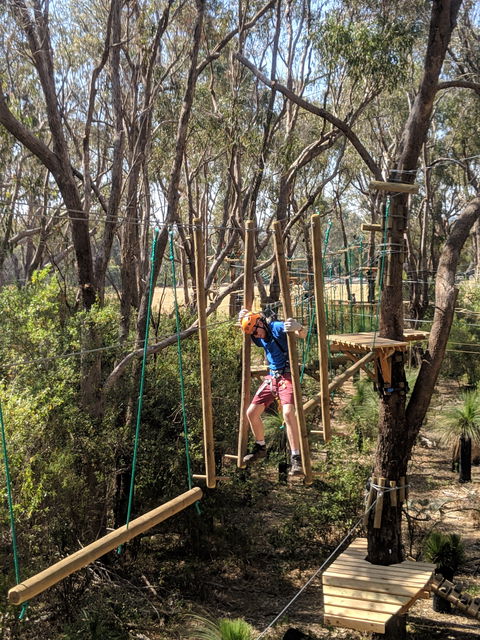 Trees Adventure - Yanchep Park - Redcliffe Tourism 1
