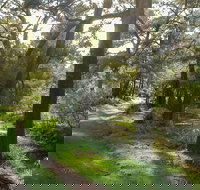 Turon National Park - Redcliffe Tourism