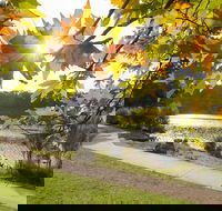Wentworth Falls Lake - Redcliffe Tourism
