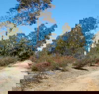 Werakata National Park - Redcliffe Tourism