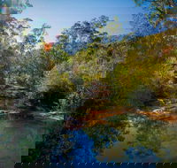Bargo State Conservation Area - Redcliffe Tourism