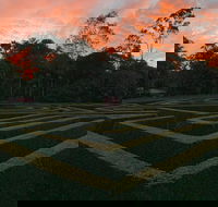 Bellingham Maze - Redcliffe Tourism