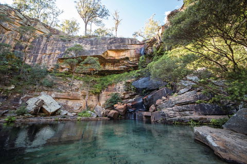 Blackdown Tableland National Park - Redcliffe Tourism 1