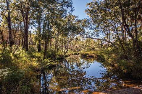 Blackdown Tableland National Park - Redcliffe Tourism 2
