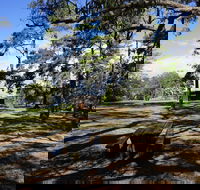 Bowen Mountain Park - Redcliffe Tourism