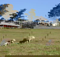 Calmsley Hill City Farm - Redcliffe Tourism
