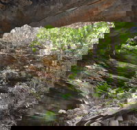 Cave Creek Walking Track - Redcliffe Tourism