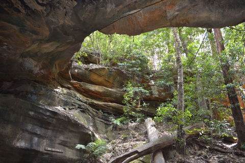 Cave Creek Walking Track - Redcliffe Tourism 0
