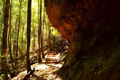 Cave Creek Walking Track - Redcliffe Tourism 1