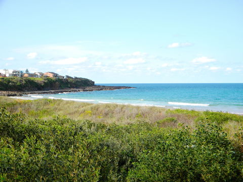 Culburra Surf Beach - Redcliffe Tourism 2