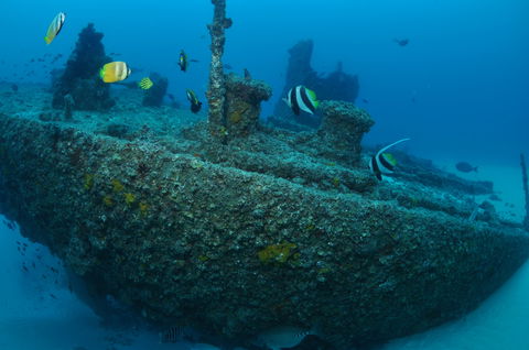Curtin Artificial Reef Dive Site - Redcliffe Tourism 1