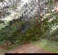 End Peak walking track - Redcliffe Tourism
