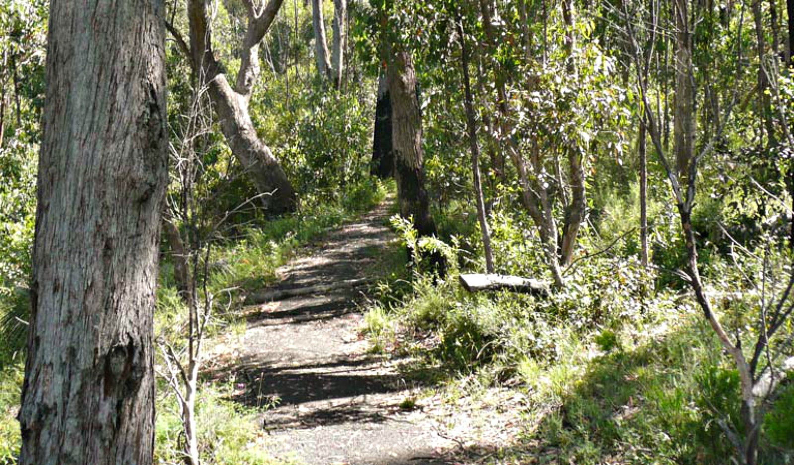  Redcliffe Tourism