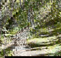 Euglah Rock Walking Track - Redcliffe Tourism