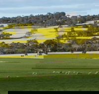 Fini Olives - Redcliffe Tourism