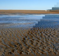 Illawong Beach - Redcliffe Tourism