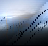 Jounama Creek Walking Track - Redcliffe Tourism