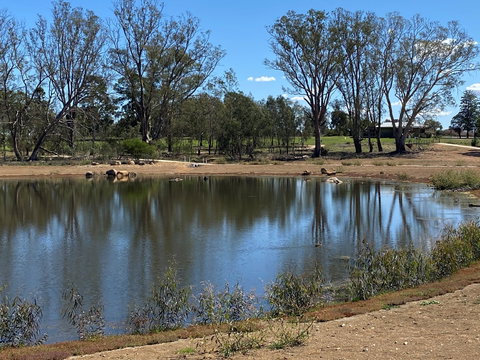 Lake King Wetlands At Rutherglen - Redcliffe Tourism 0