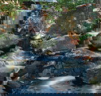 Mackay Regional Botanic Gardens - Redcliffe Tourism