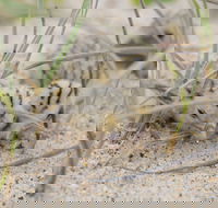Manning Entrance State Park - Redcliffe Tourism