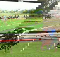 Manning Valley Race Club - Redcliffe Tourism