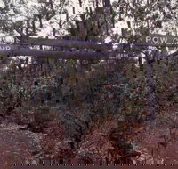 Marrinup Trail Dwellingup - Redcliffe Tourism