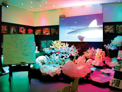 Marine Discovery Centre Hastings Point - Redcliffe Tourism 0