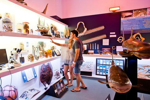 Marine Discovery Centre Hastings Point - Redcliffe Tourism 1