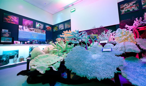 Marine Discovery Centre Hastings Point - Redcliffe Tourism 2