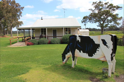 Millers Ice Cream - Redcliffe Tourism 2