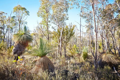 Mt Glenrowan Lookout Walk - Redcliffe Tourism 2