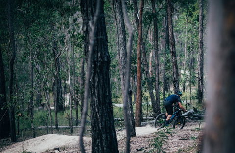 Old Tambo Downhill Mountain Bike Track - Redcliffe Tourism 0