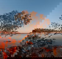 Peery Lake - Redcliffe Tourism