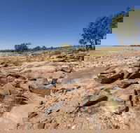 Peery Lake picnic area - Redcliffe Tourism