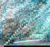 Phillips Gallery - Redcliffe Tourism