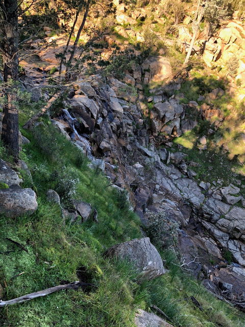 Pine Gully Nature Trail - Redcliffe Tourism 0