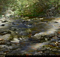 Plateau Circuit Loop Trail - Redcliffe Tourism