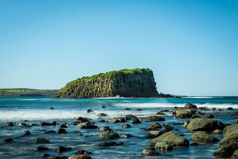 Rangoon Island, Minnamurra - Redcliffe Tourism 0