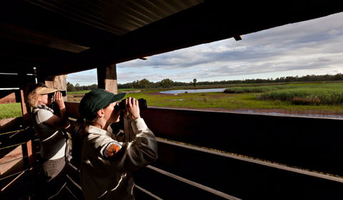 Reed Beds Bird Hide Boardwalk - Redcliffe Tourism 0