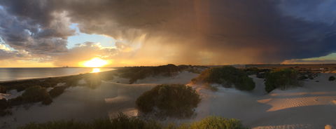 Shelly Beach Dune Walk Trail - Redcliffe Tourism 2