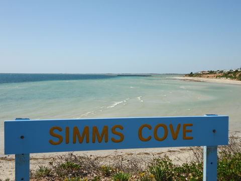 Simms Cove Lookout And Beach, Moonta Bay - Redcliffe Tourism 0